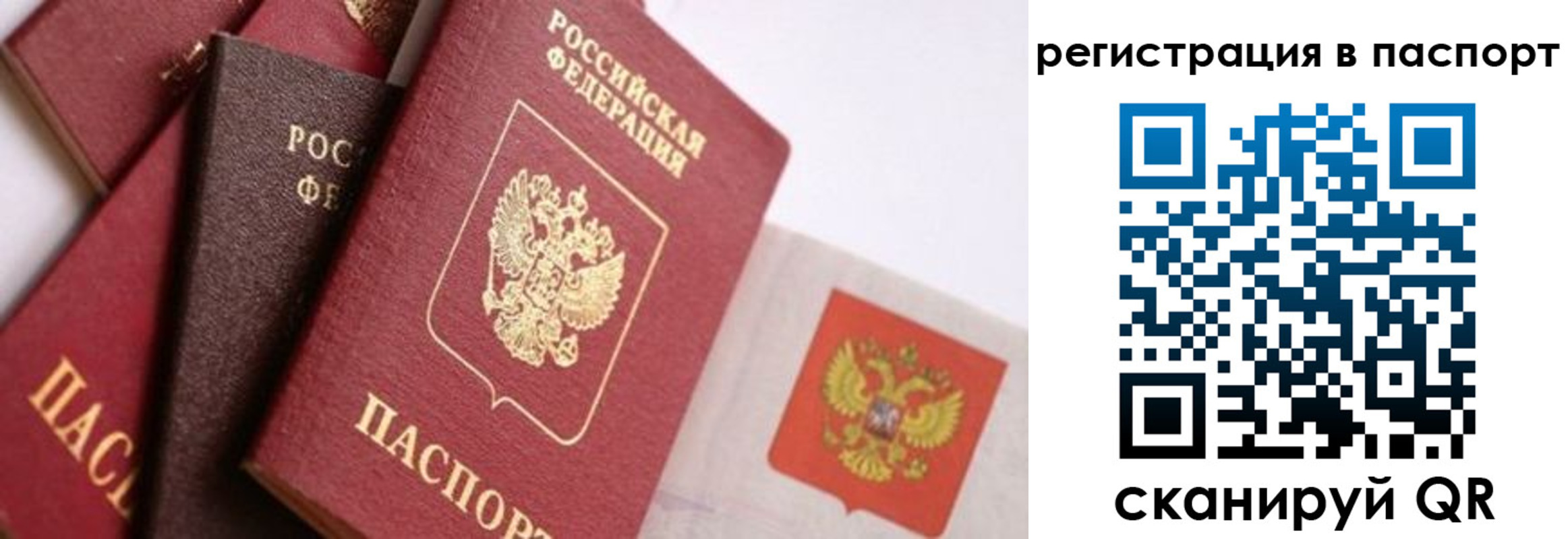 прописка в квартире в Камбарке